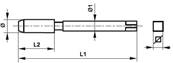 Taraud machine court HSS filetage gaz ISO 7-1 Forme C BSPP 3/4 x 14