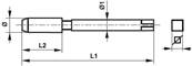 Taraud machine court HSS DIN 352 conique Whitworth pour détendeur Forme C W 31,3 x 14