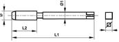 Taraud machine court HSS filetage gaz conique Forme B BSPT 1.1/2 x 11