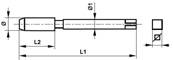 Taraud machine court métrique pas fin DIN 2181 HSS Forme D MF 10 x 0.75