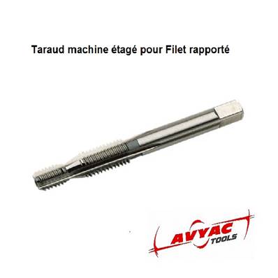 Taraud machine pour filetage de bougie d'allumage HSS-G STI-M 10x1.0 Tol. ISO 1 (4H)