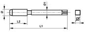 Taraud machine court Co5 filetage gaz cylindrique Forme C hélice 35° NPS 1/2 x 14