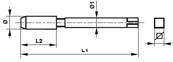 Taraud machine court HSS filetage électrique DIN 40 430 Forme D PG 36 x 16