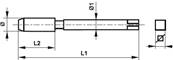 Taraud métrique entrée corrigée ISO 529, Tol. ISO2/6H, 6 x 1,0 N2 HSS