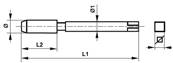 Taraud machine court HSS filetage gaz ISO 7-1 Forme C Hélice 35° BSPP 1/16 x 28