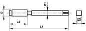 Taraud machine court Co5 Forme C Hélice 35° pas gaz conique Conicité 1:16 NPTF 1/4 x 18