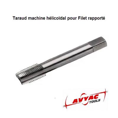 Taraud machine HSS-G  STI BSP